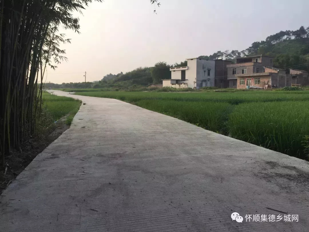 梁坪村最新新闻