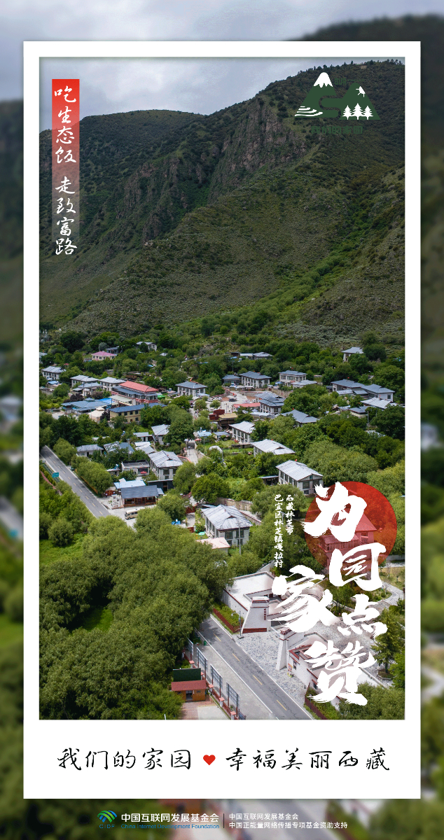 拉如村最新交通新闻