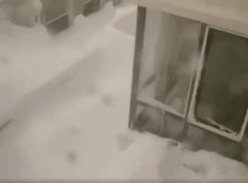 东方之桃 第3页