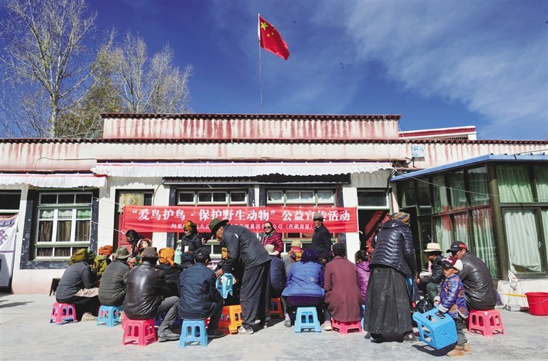 闫子实 第3页