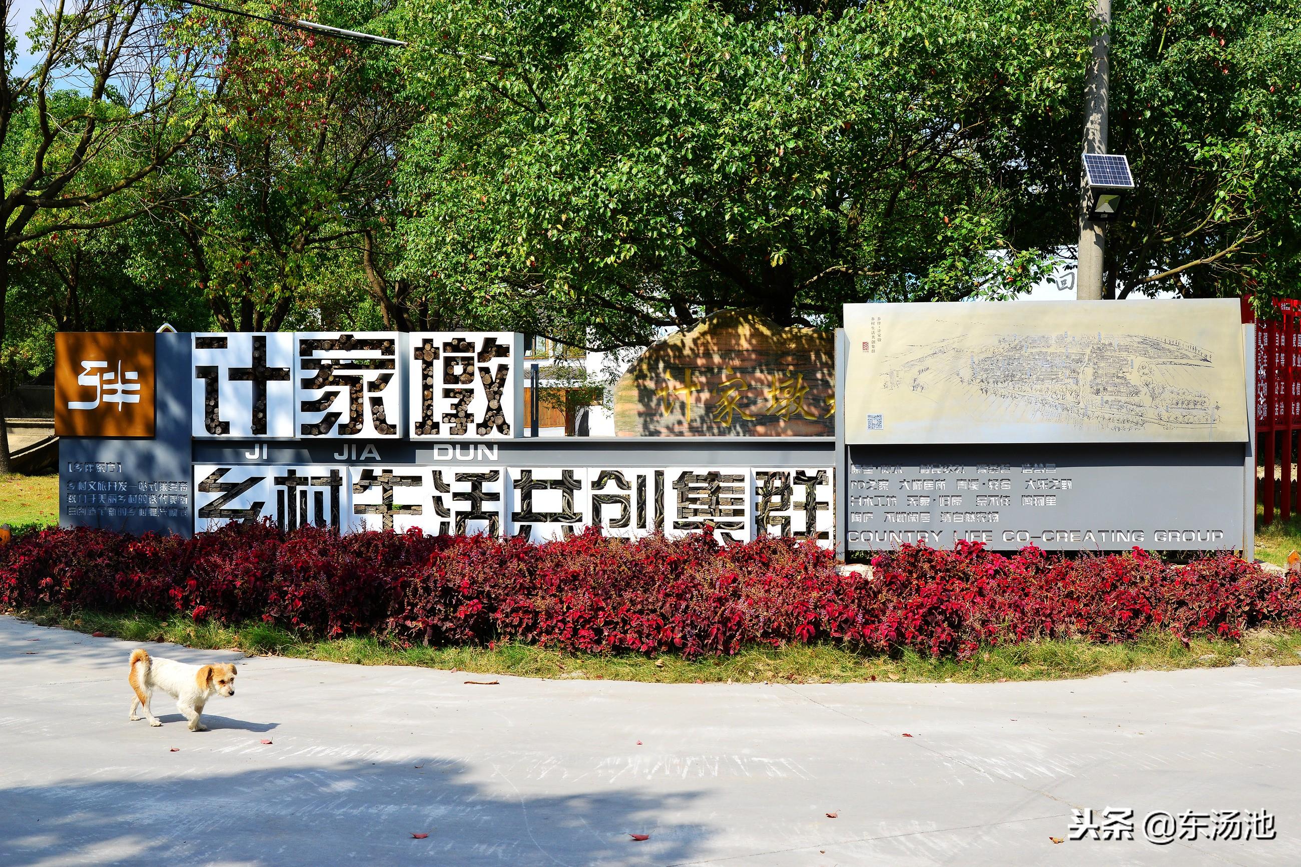 锦溪飞机场最新动态,发展脉络、未来展望与前景展望