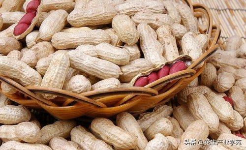 全国花生价格最新走势解析
