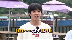 刘耀文夏令营最新进展