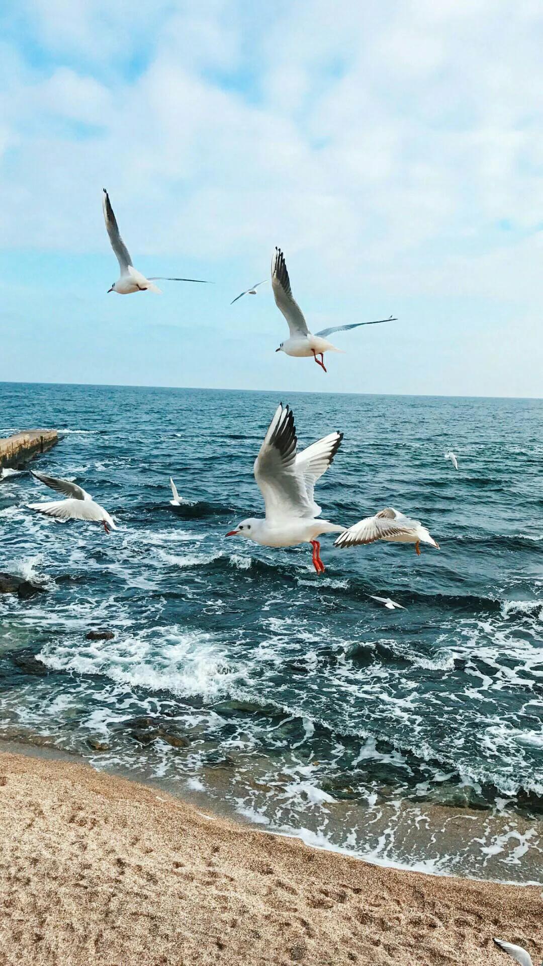 慈清懿 第3页