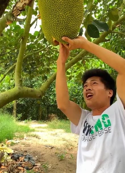 探索影视娱乐新天地,免费观看菠萝蜜最新视频