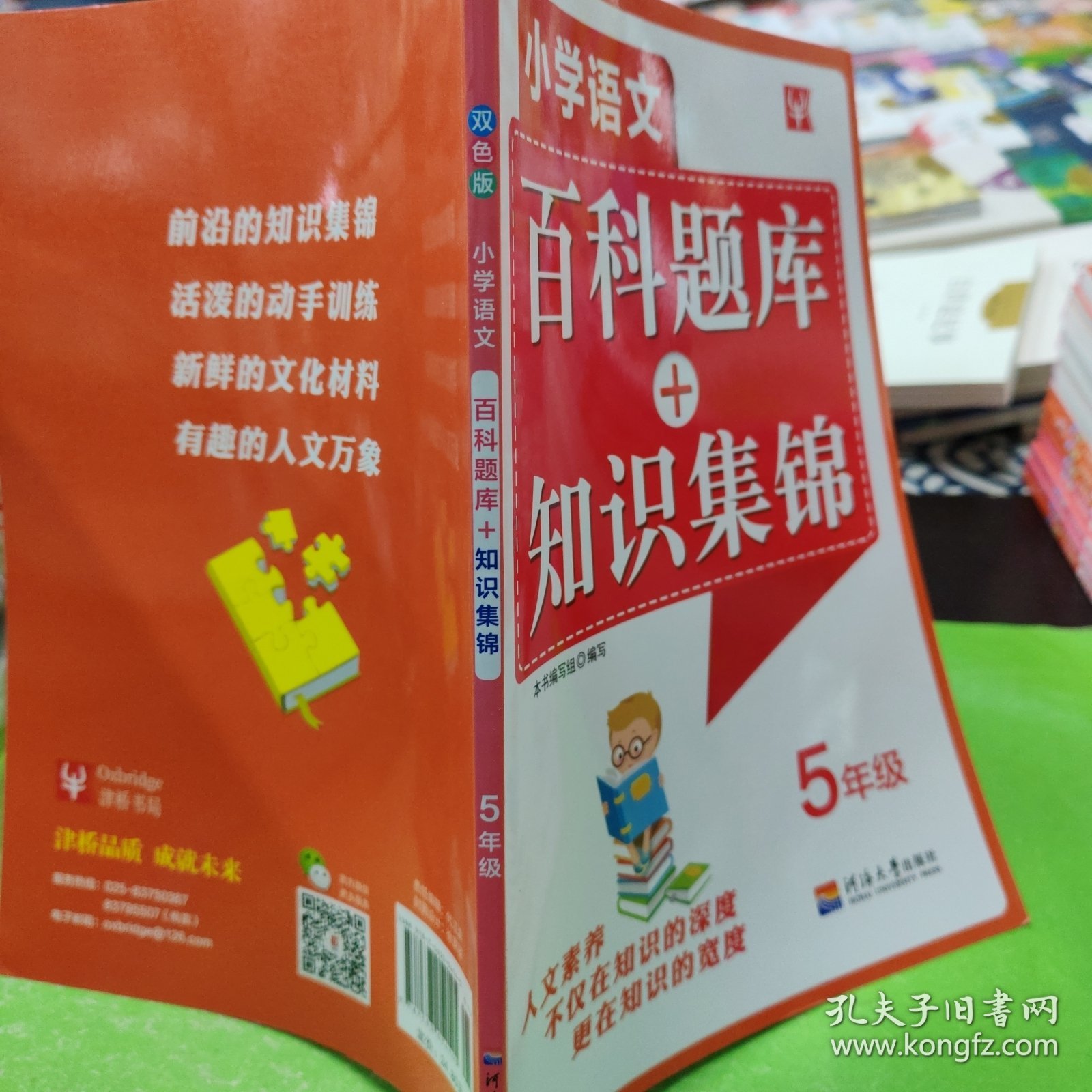 宦飞双 第2页
