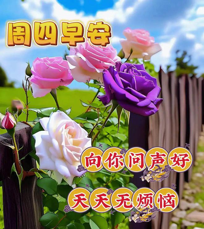 每日早上好图片,唤醒美好一天的视觉盛宴