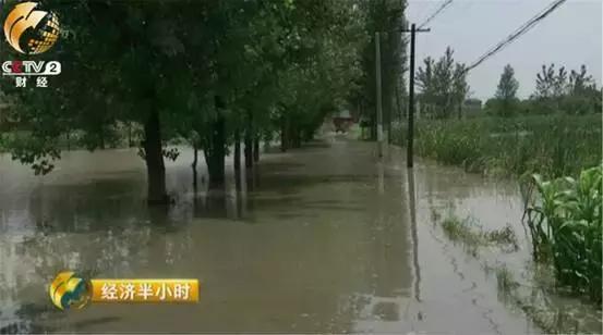 安徽芜湖暴雨来袭,城市防汛应对策略
