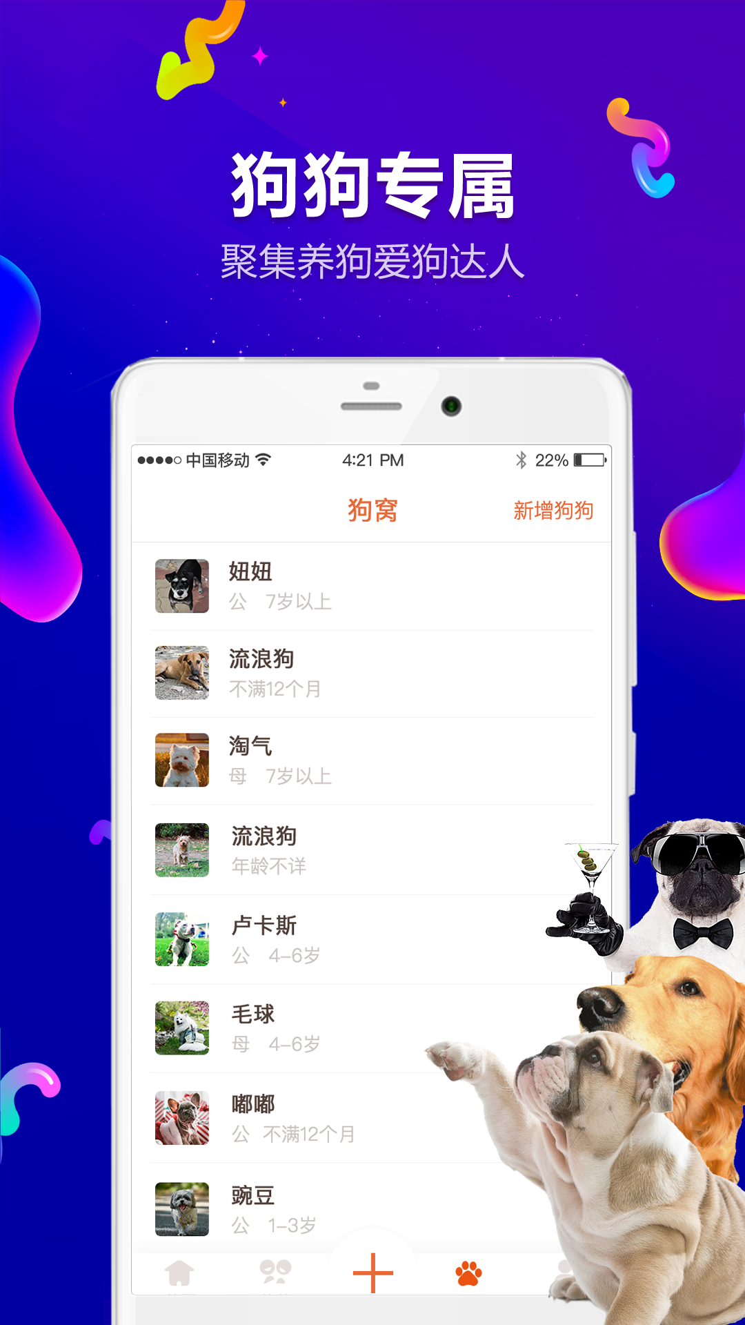 小狗宝盒最新版下载,全新功能与体验探索