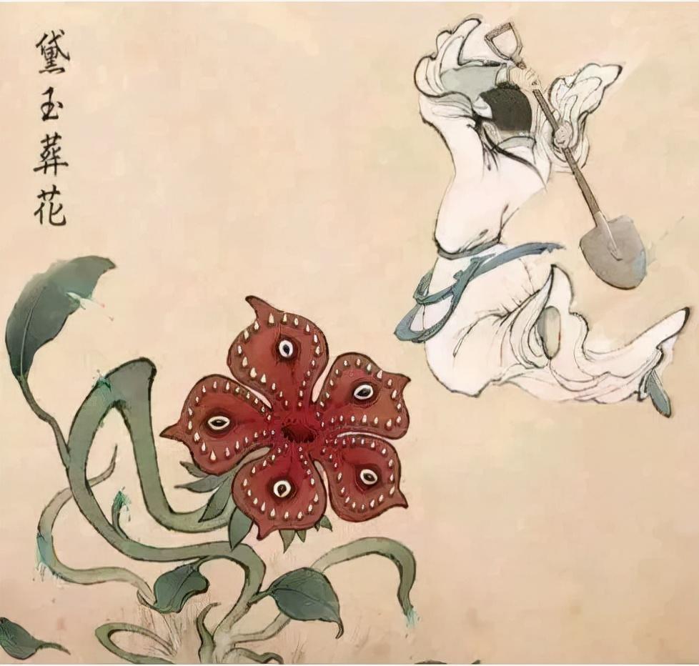 新书发布,探索知识的新领域