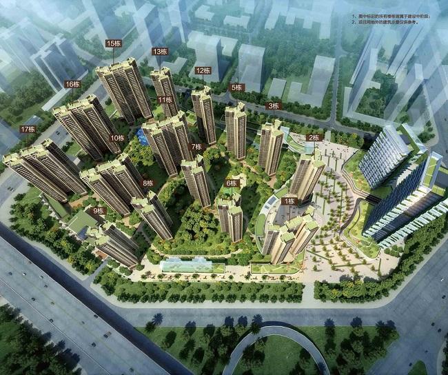深荟城最新消息全面解读